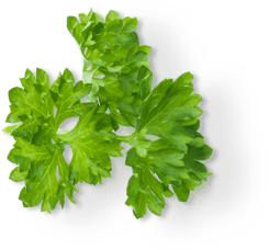 Parsley 2